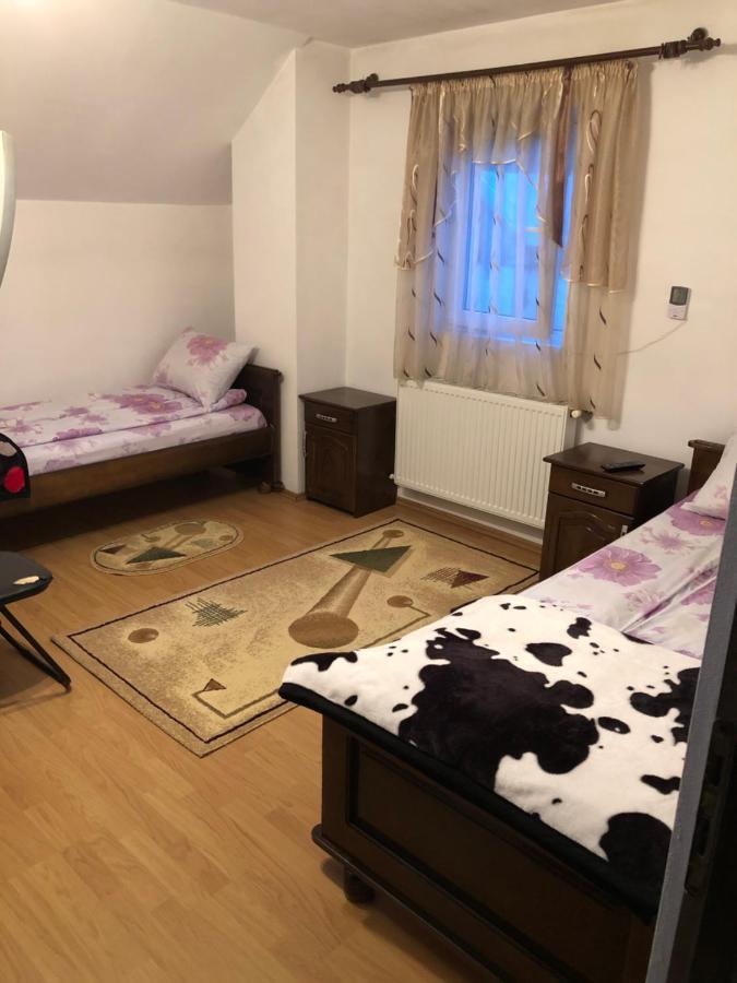 Pensiunea Morosanu Borşa 외부 사진