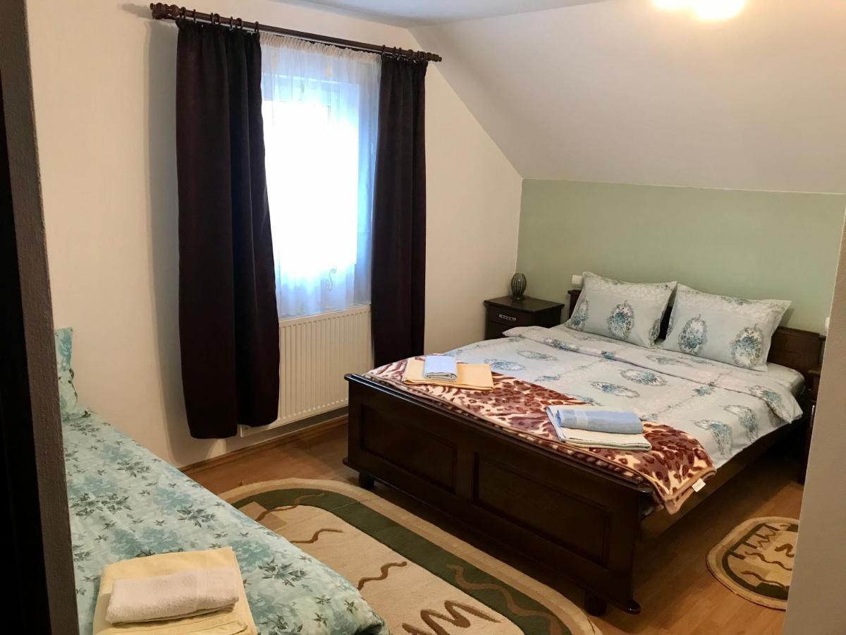 Pensiunea Morosanu Borşa 외부 사진
